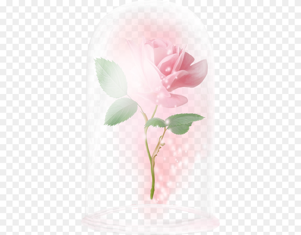 Floating Rose Beauty And The Beast Rose Enchanted Rose Garden Roses, Plant, Graphics, Flower, Art Free Transparent Png