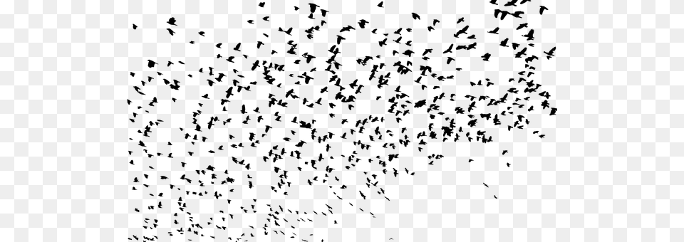 Flock Gray Png Image