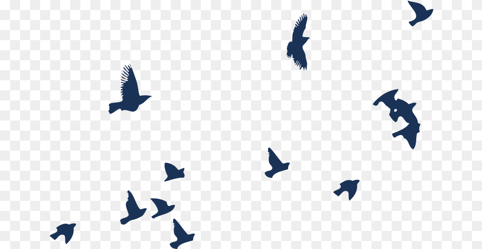 Flock, Animal, Bird, Flying, Silhouette Png Image