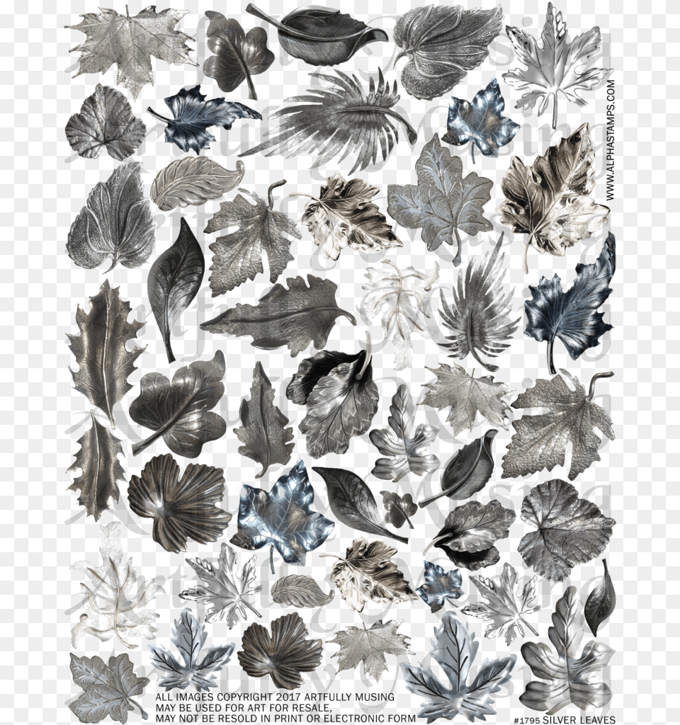 Flock, Plant, Leaf, Art, Collage Png Image
