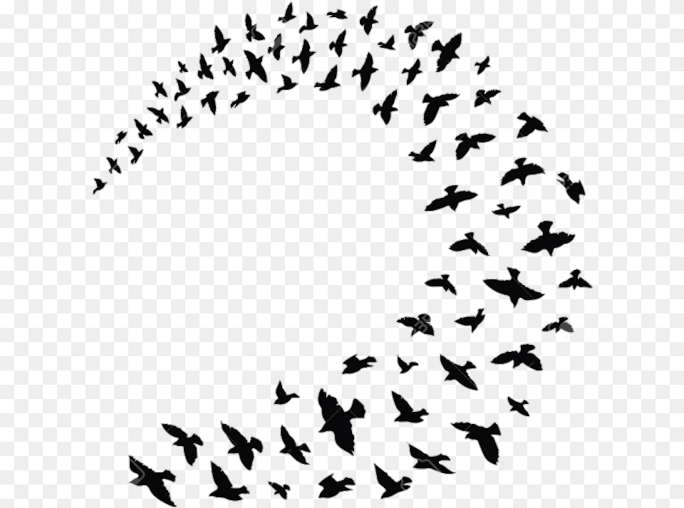 Flock Bird Columbidae Clip Art Silhouette Mary Poppins Birds Black And White, Animal, Blackboard Free Png