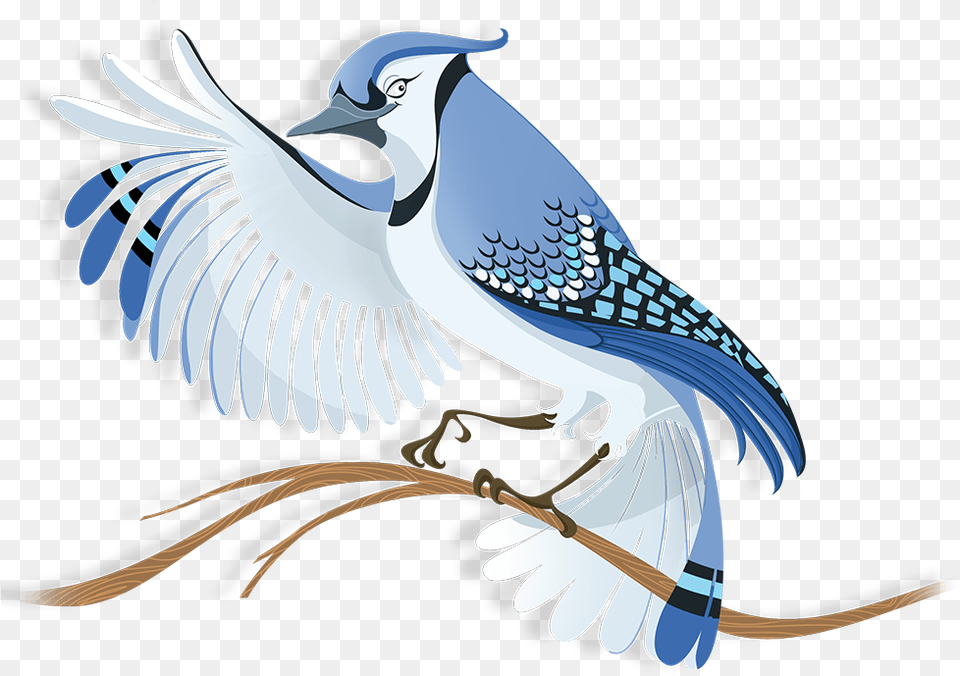 Flock Blue Jay Blue Jay Bird Illustration, Animal, Blue Jay, Bluebird Free Transparent Png