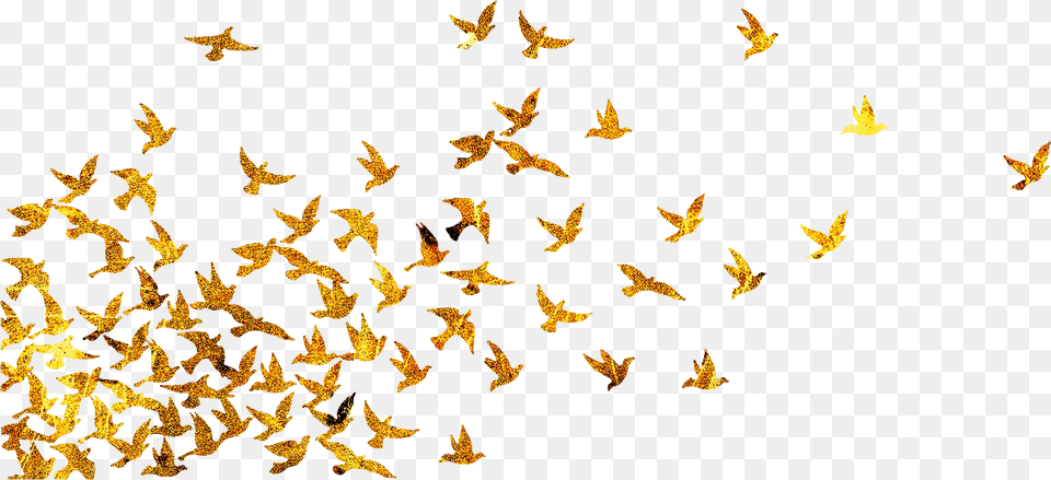 Flock Of Birds Silhouette, Animal, Bird, Flying Free Png Download