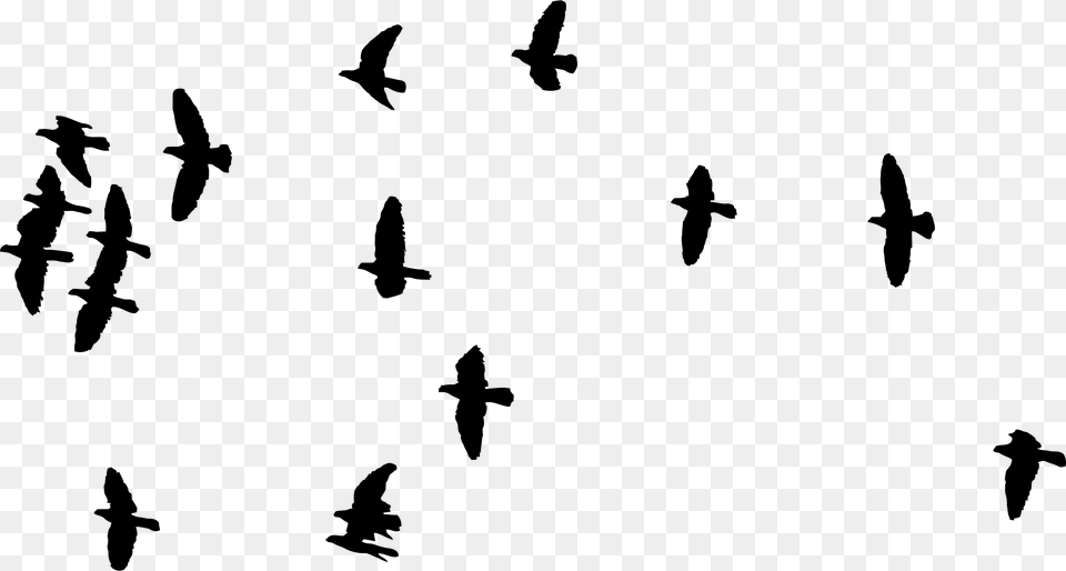 Flock Of Birds Silhouette Icons, Gray Free Png Download
