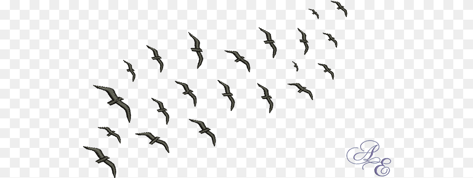 Flock Of Birds Silhouette Silhouette Flock Of Bird, Animal, Flying, Mammal, Dagger Png