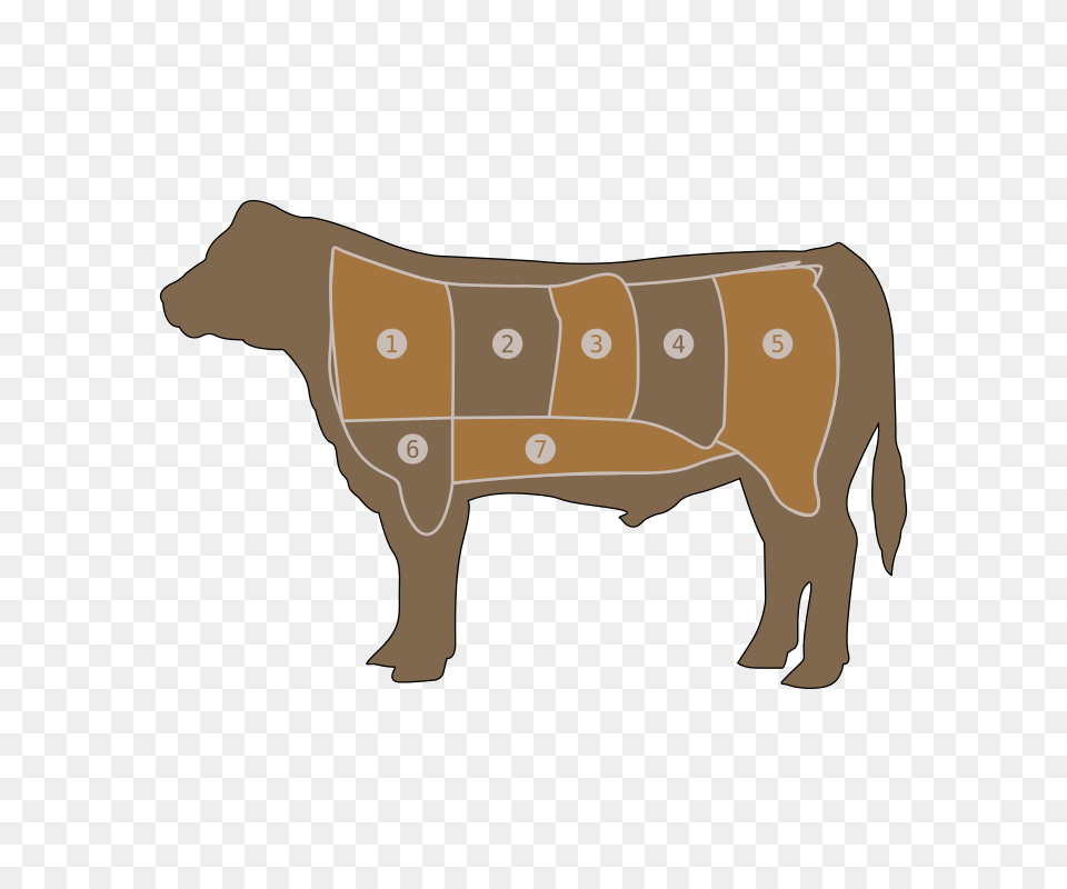 Flomar Beef Chart, Animal, Bull, Mammal, Cattle Free Transparent Png
