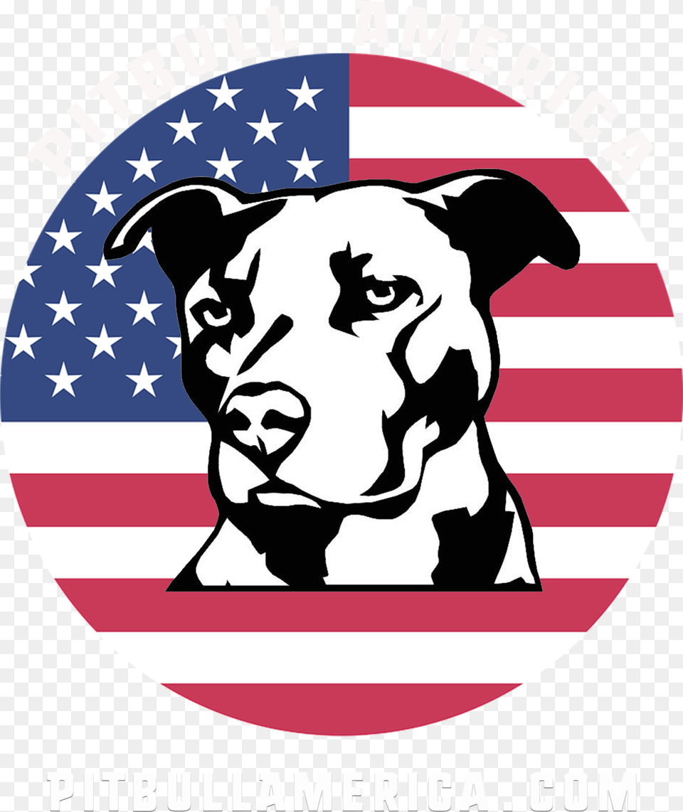 Flood City Fabrications Warning Protected By Pit Bull American Pitbull Terrier Decal, Face, Head, Person, Baby Png Image