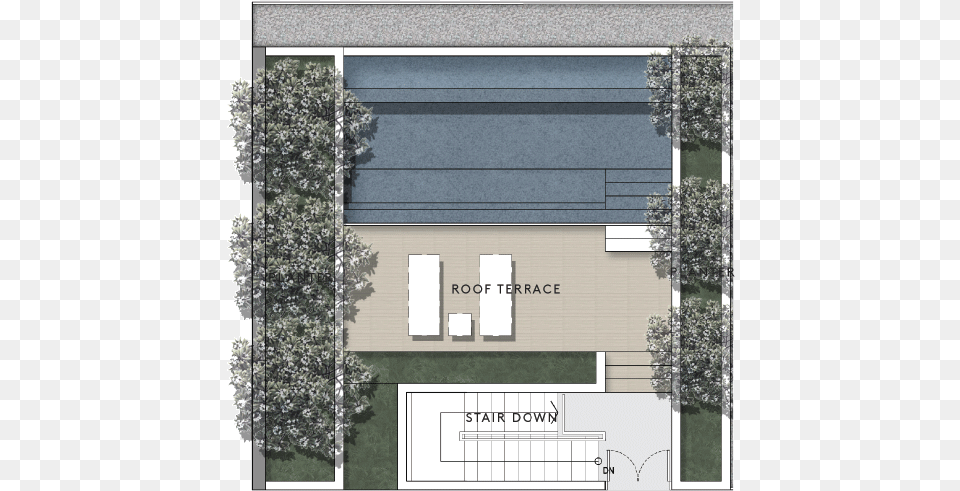 Floor Plan, Plant, Tree, Chart, Plot Free Transparent Png