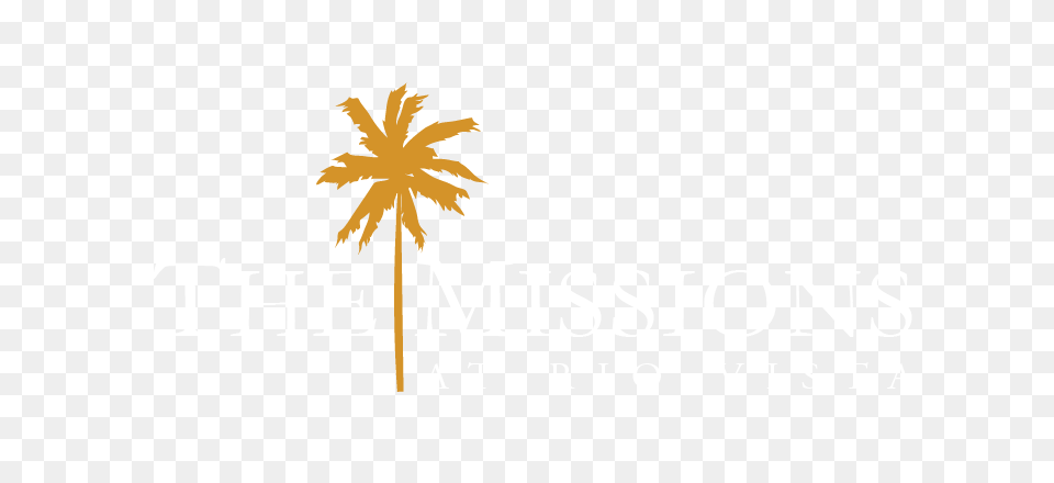 Floor Plans Of The Missions, Palm Tree, Plant, Tree, Summer Png