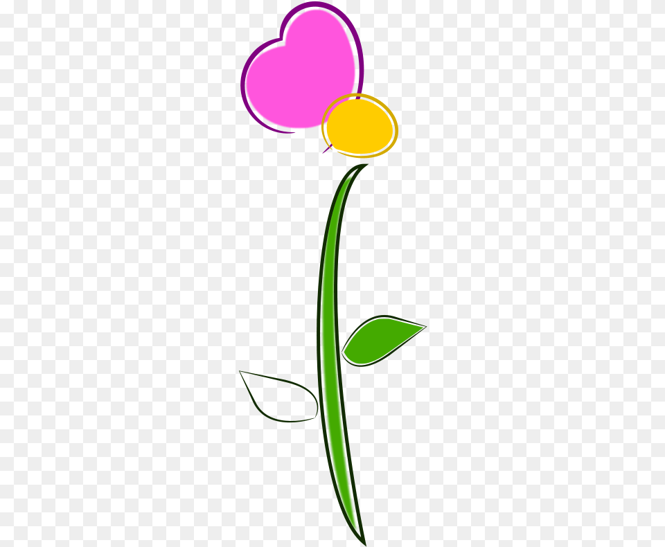 Flor, Flower, Petal, Plant, Daisy Free Png Download
