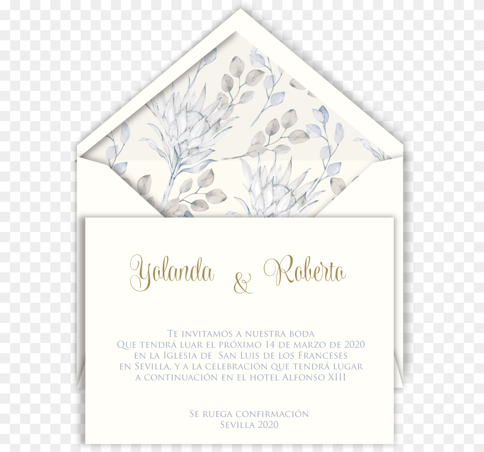 Flor De Algodn Envelope, Mail, Greeting Card Png Image