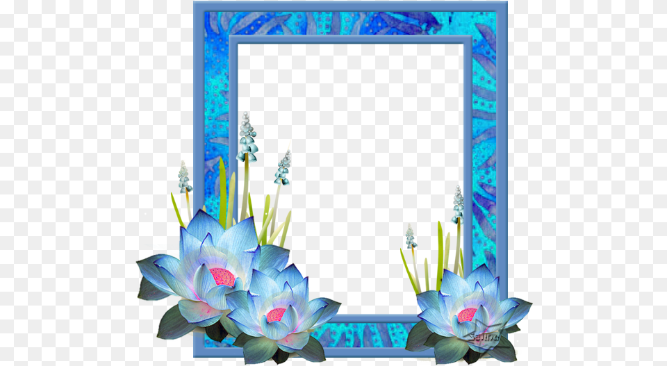 Flor De Loto Beauty, Flower, Plant, Flower Arrangement, Art Free Png Download