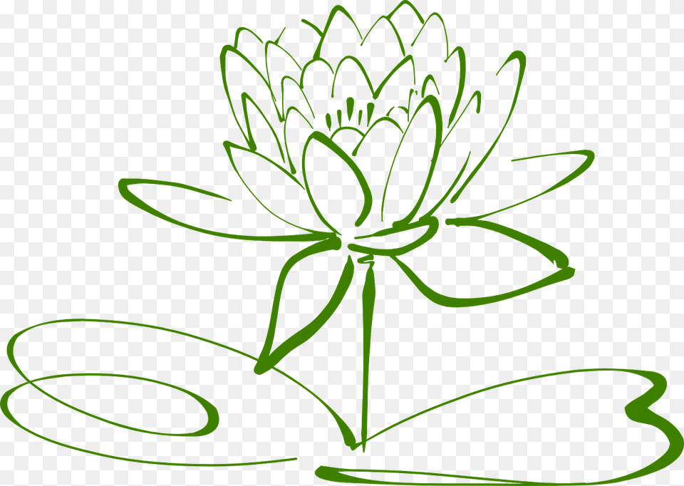 Flor De Loto Lotus Flor Nenfar Nenfar Blanco Lotus Flower Clipart Black And White, Green, Plant, Leaf Free Transparent Png