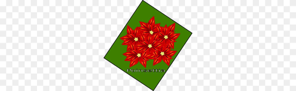 Flor De Navidad Clip Art, Pattern, Graphics, Floral Design, Flower Free Transparent Png