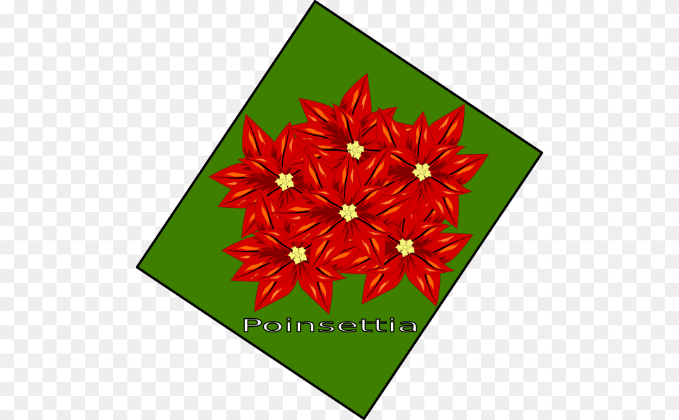 Flor De Navidad Clip Art, Pattern, Graphics, Floral Design, Flower Free Png Download