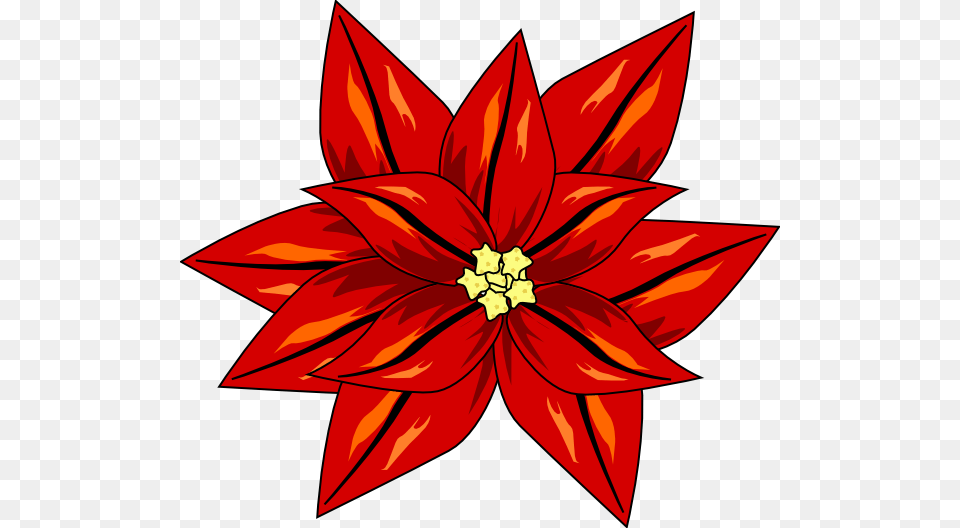 Flor De Navidad Large Size, Dahlia, Flower, Plant, Leaf Png