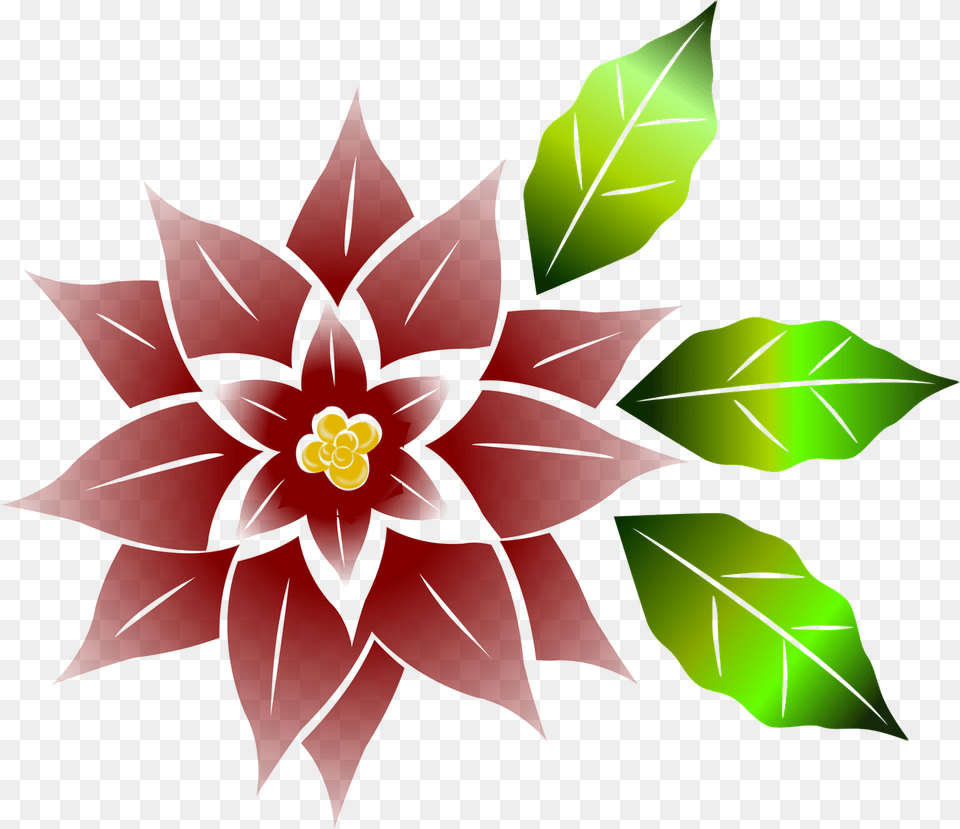 Flor De Noche Buena, Plant, Leaf, Graphics, Art Free Png Download