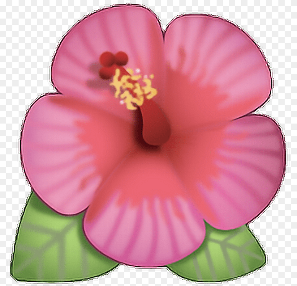 Flor Emoji Rosa Ed Cute Flower Cool Hibiscus Flower Emoji, Anther, Plant, Petal Png Image