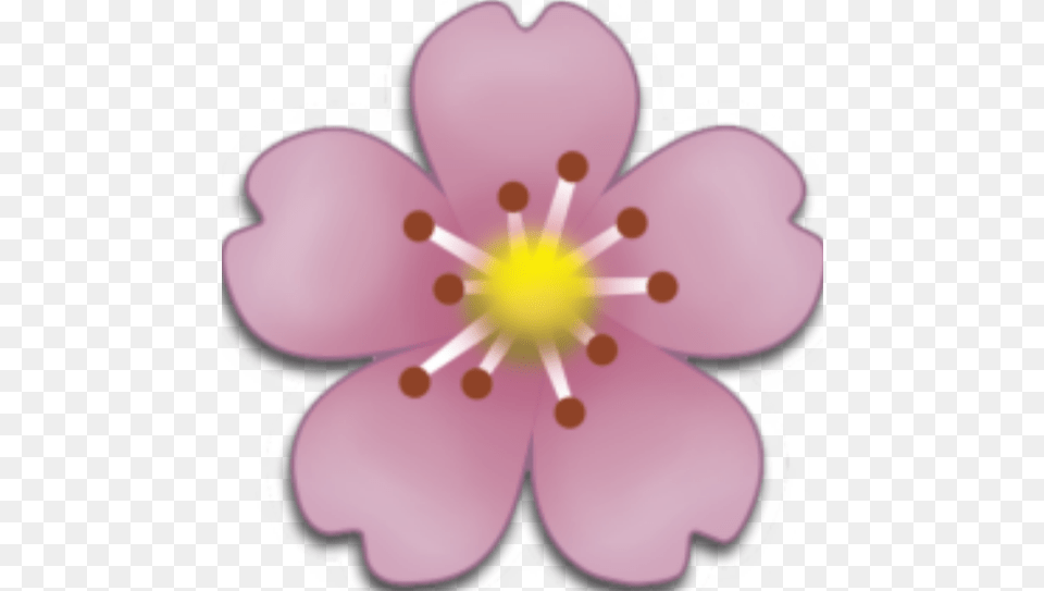 Flor Flower Emoji Overlay Edit, Anther, Petal, Plant, Anemone Free Transparent Png
