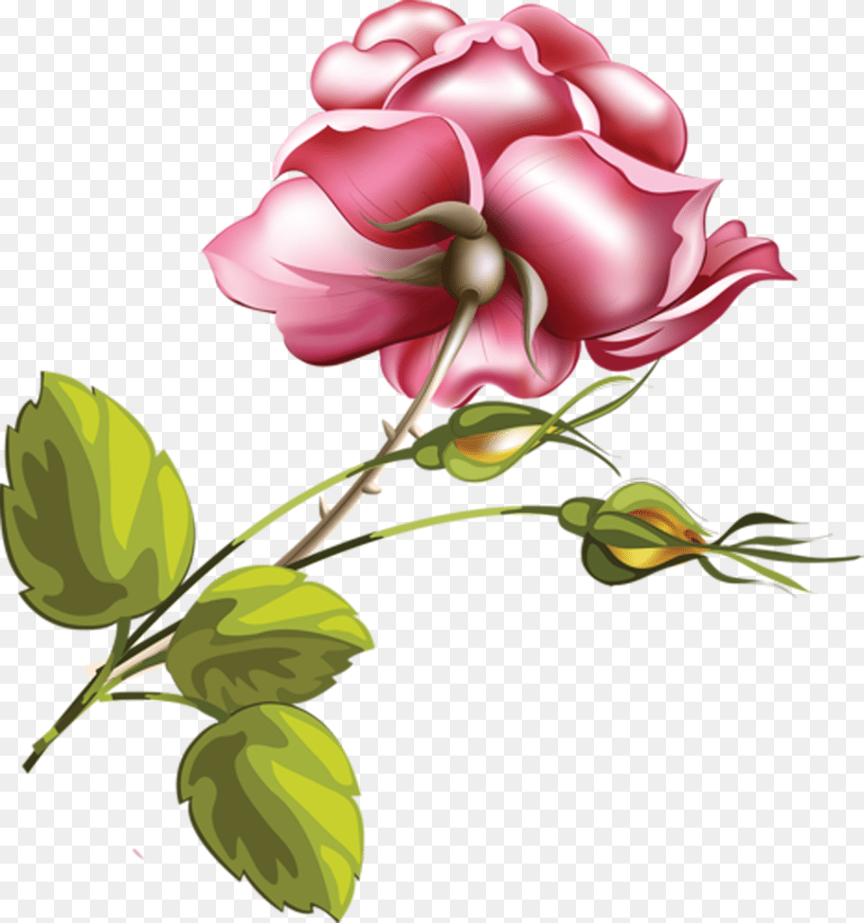 Flor Imagen De Flor En, Art, Rose, Plant, Graphics Free Transparent Png