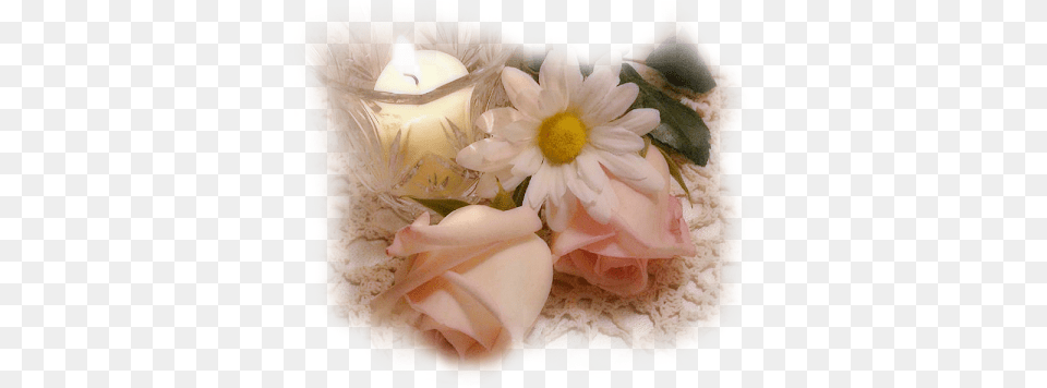 Flor Sisters By Chance Friends, Flower Bouquet, Plant, Petal, Flower Png