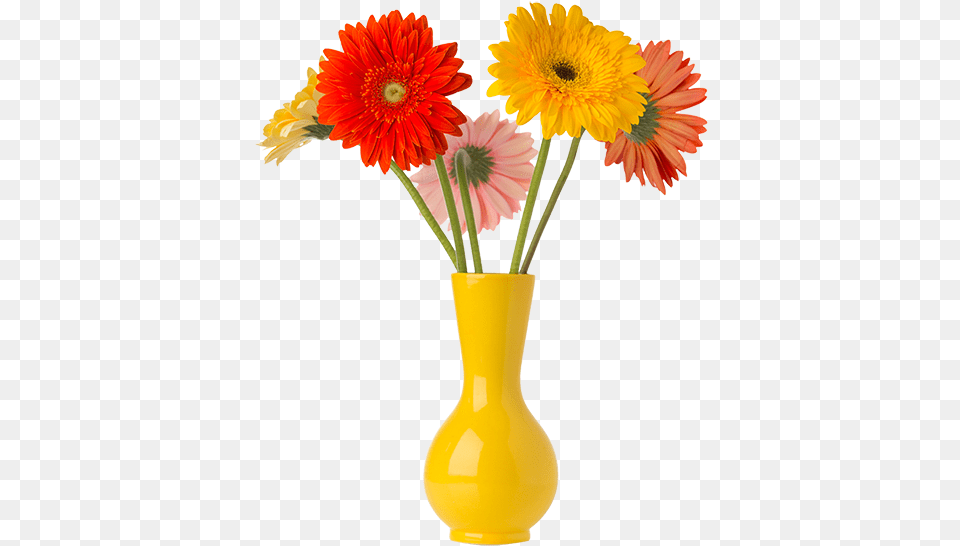 Flor Transparent Flower Vase, Daisy, Flower Arrangement, Flower Bouquet, Jar Free Png Download
