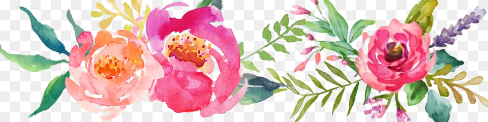 Flor Watercolor Download Background Flower Watercolor, Pattern, Plant, Art, Floral Design Free Transparent Png