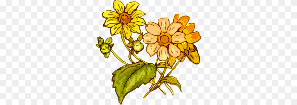 Flora Flower, Art, Plant, Daisy Png Image