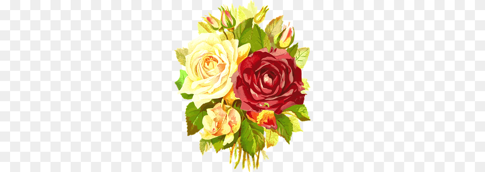 Flora Art, Floral Design, Flower, Flower Arrangement Free Transparent Png