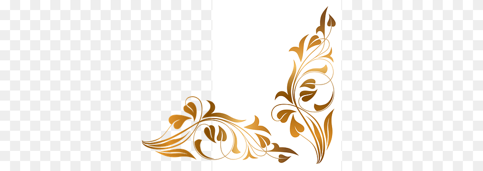 Flora Art, Floral Design, Graphics, Pattern Free Png Download