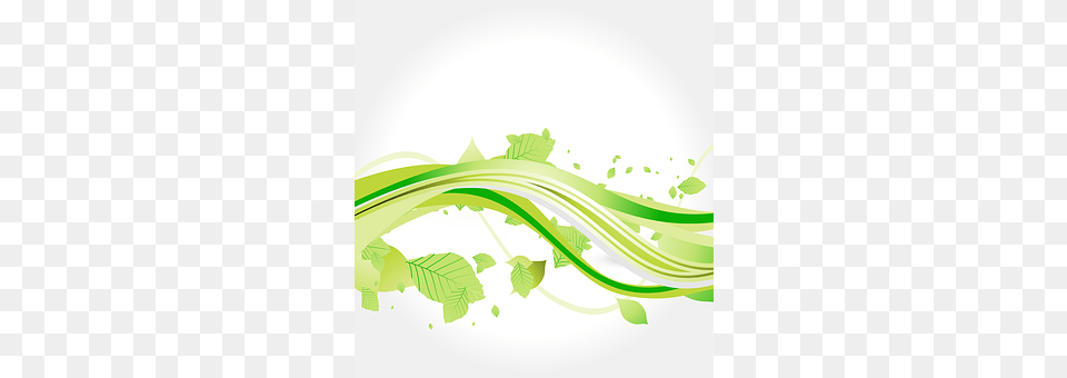 Flora Art, Floral Design, Graphics, Green Free Png