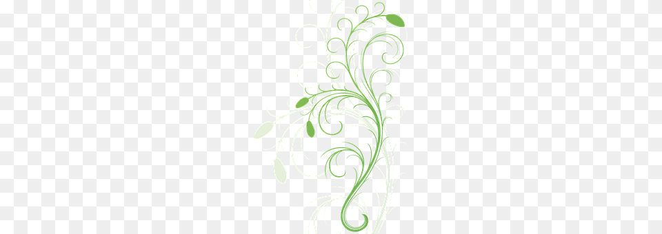 Flora Art, Floral Design, Graphics, Pattern Png Image