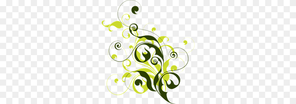 Flora Art, Floral Design, Graphics, Green Free Png