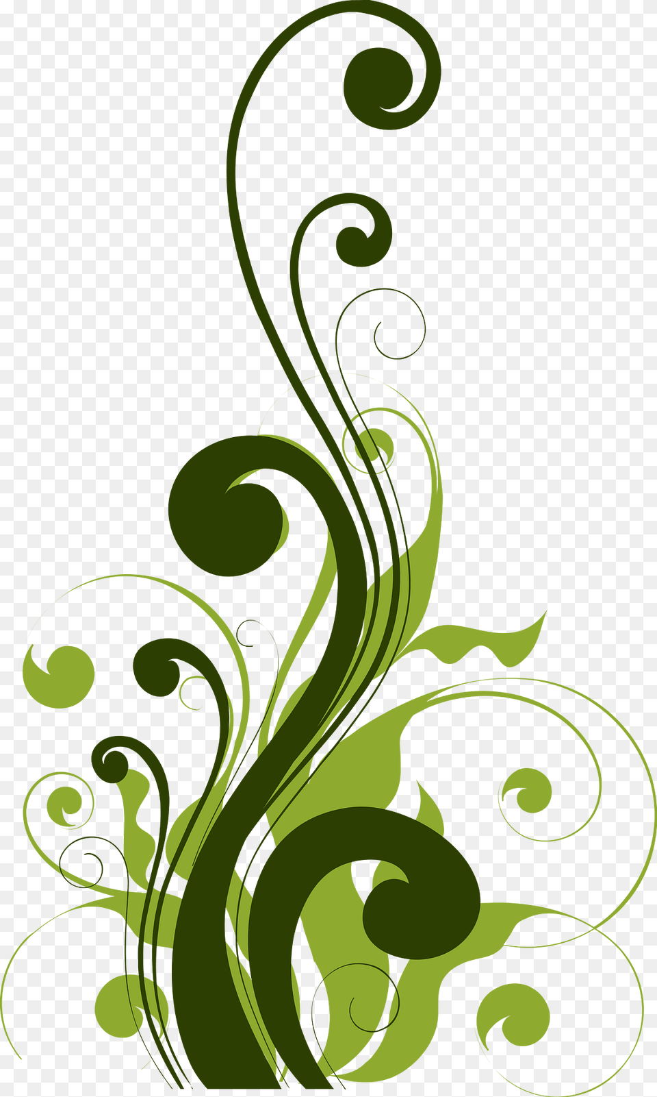 Flora Clipart, Art, Floral Design, Graphics, Green Png Image