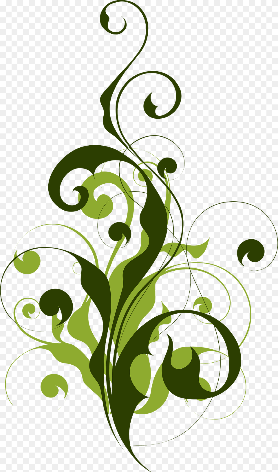 Flora Clipart, Art, Floral Design, Graphics, Green Png