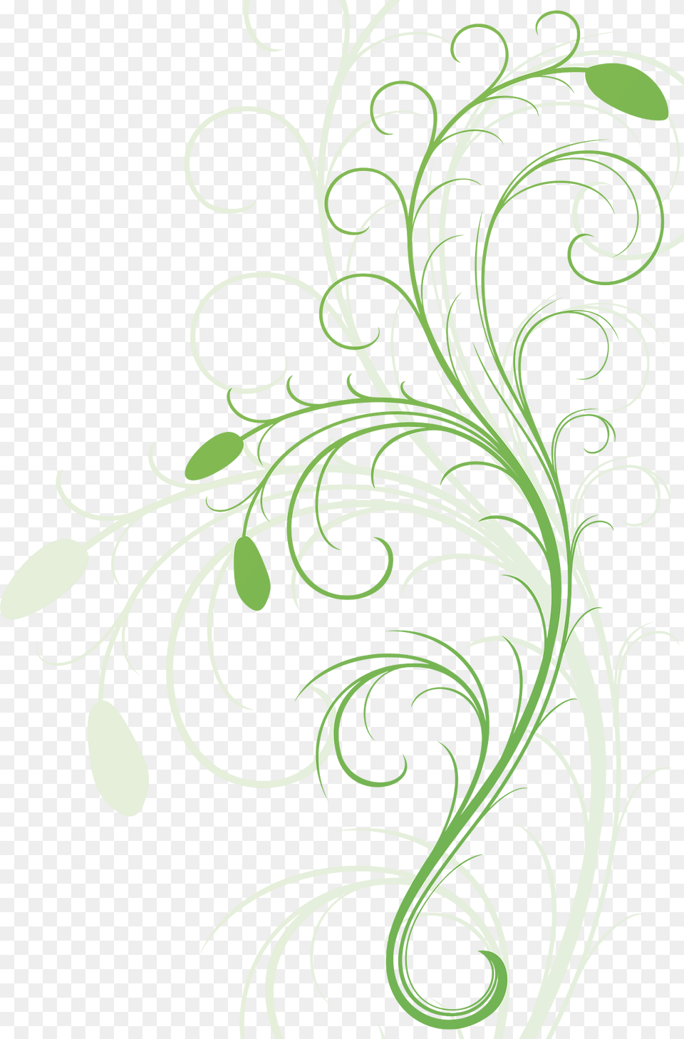 Flora Clipart, Art, Floral Design, Graphics, Green Free Png Download