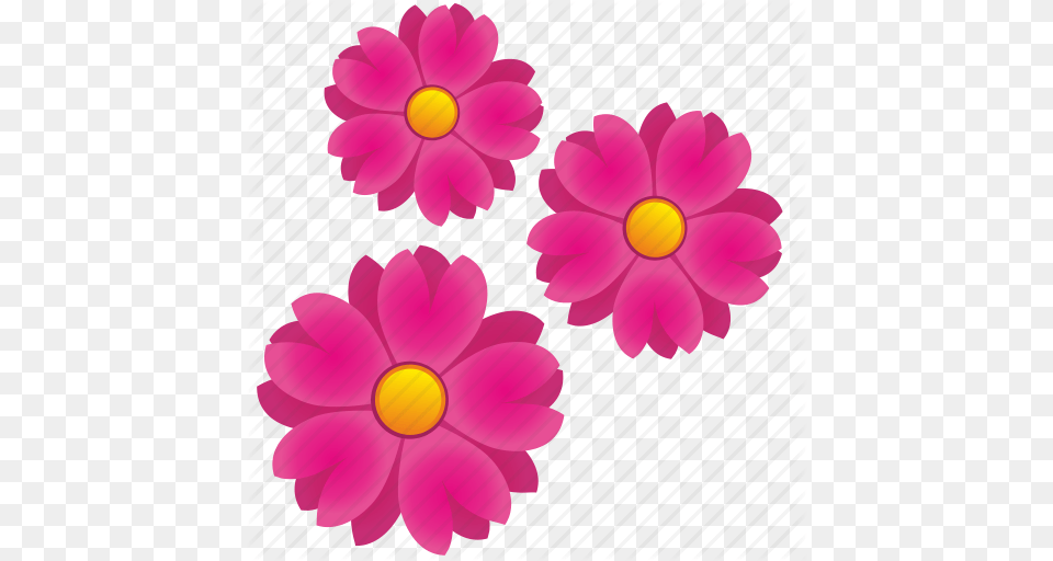 Flora Flower Flowers Nature Icon, Anemone, Daisy, Petal, Plant Free Png