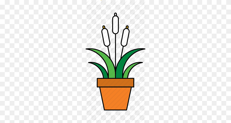 Flora Houseplant Lake Nature Peace Lily Plant Icon, Potted Plant, Cookware, Pot Free Png