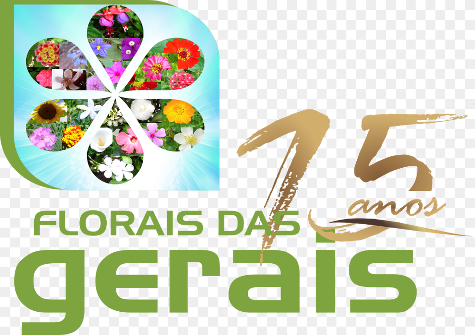 Florais Das Gerais Orchid, Graphics, Art, Floral Design, Pattern Png