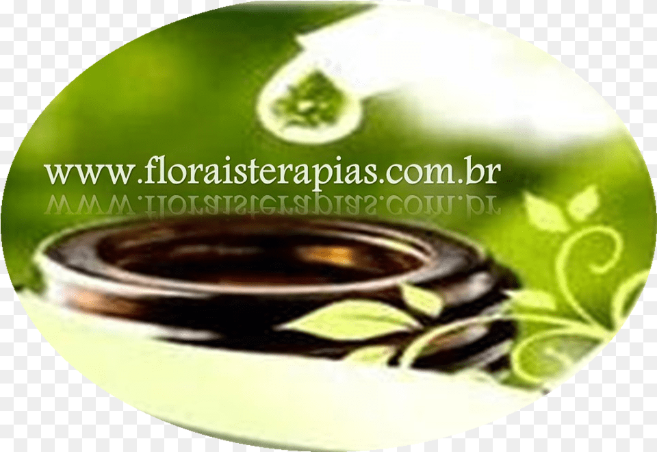 Florais Terapias Cd, Herbal, Herbs, Plant, Disk Free Png Download