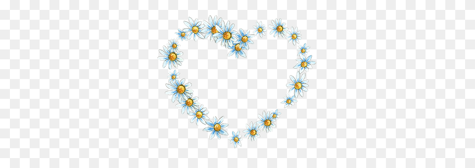 Floral Daisy, Flower, Plant, Accessories Free Png Download