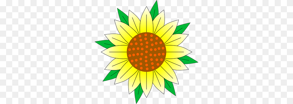 Floral Flower, Plant, Sunflower, Dahlia Free Png Download