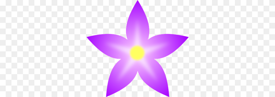 Floral Purple, Flower, Plant, Star Symbol Free Png Download