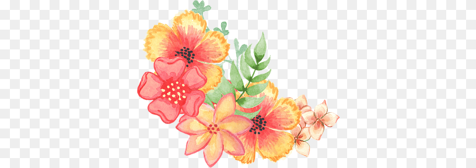 Floral Flower, Pattern, Plant, Art Png