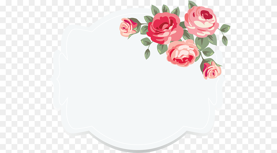 Floral, Rose, Plant, Flower, Pattern Png Image