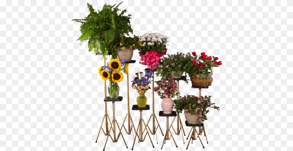 Floral Arrangements On Stands, Flower, Flower Arrangement, Flower Bouquet, Plant Free Transparent Png
