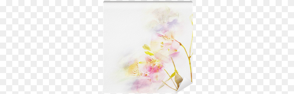 Floral Background With Watercolor Flowers Wall Mural U2022 Pixers We Live To Change Moth Orchids, Flower, Plant, Petal, Cherry Blossom Png