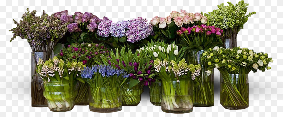 Floral Banner, Flower, Flower Arrangement, Flower Bouquet, Plant Free Png Download