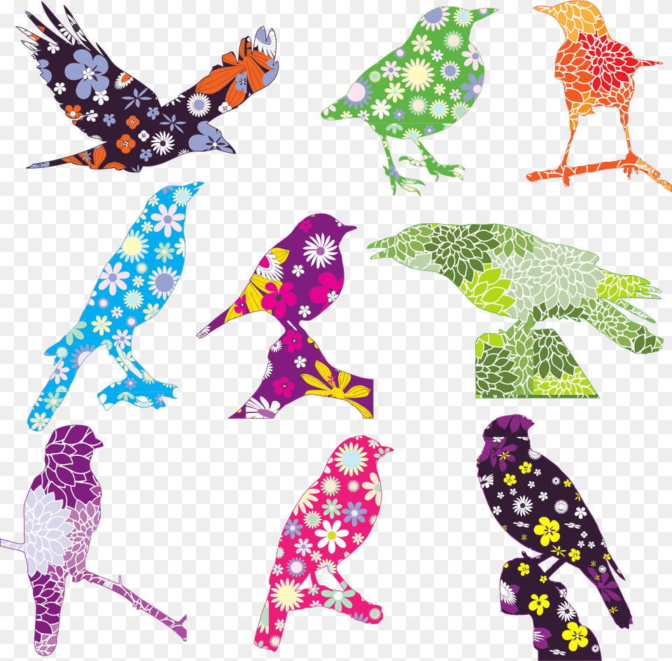 Floral Birds Graphic Black And White Stock My First Coloring Book I Love Coloring Book, Purple, Animal, Art, Bird Free Transparent Png