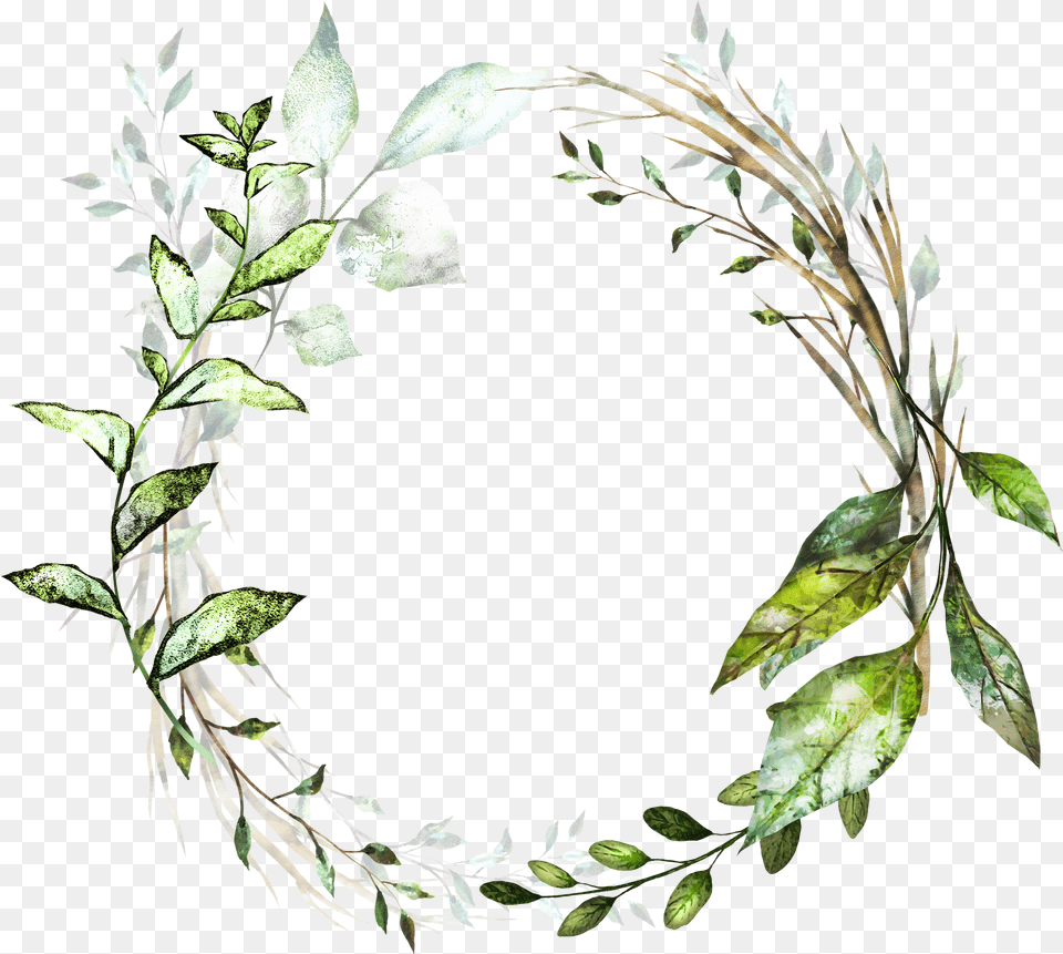 Floral Border Design Flower Frame Leaves Watercolor Frames Free Transparent Png